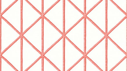 BOX KITE T10137